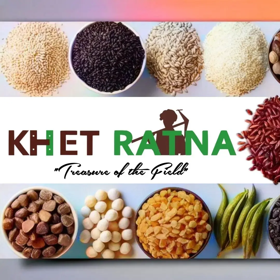 Main Banner Image 1